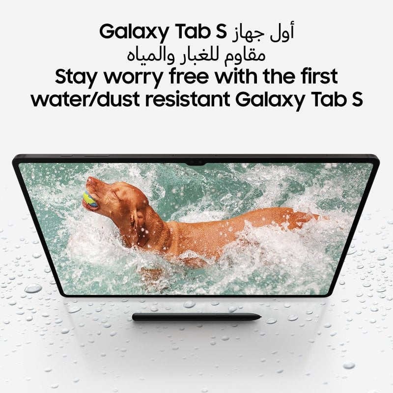 Samsung Galaxy Tab S9 Ultra 5G, 12GB RAM, 256GB Storgae, Gray (UAE Version)Visit the SAMSUNG Store